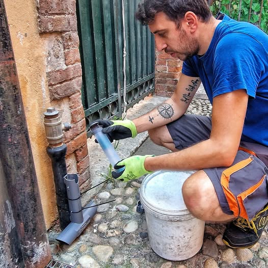 A Lavagna monitoraggio di roditori e blatte