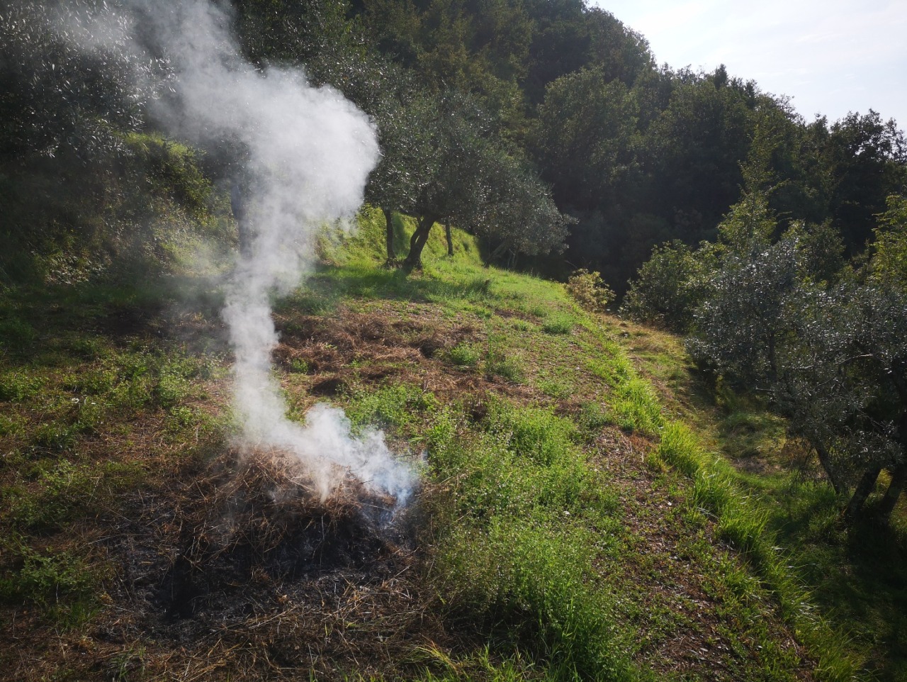 Stato grave pericolosità per incendi boschivi da sabato 4 luglio, i Carabinieri Forestali rafforzano i controlli