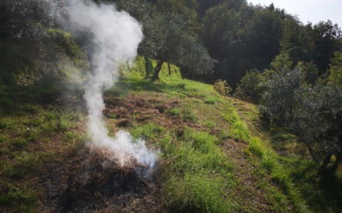 Stato grave pericolosità per incendi boschivi da sabato 4 luglio, i Carabinieri Forestali rafforzano i controlli