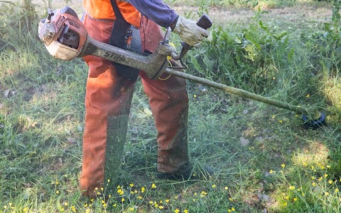 Recco: avviata la campagna di sfalcio del mese di luglio