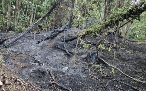 Allarme nella notte a Sorlana per un incendio boschivo