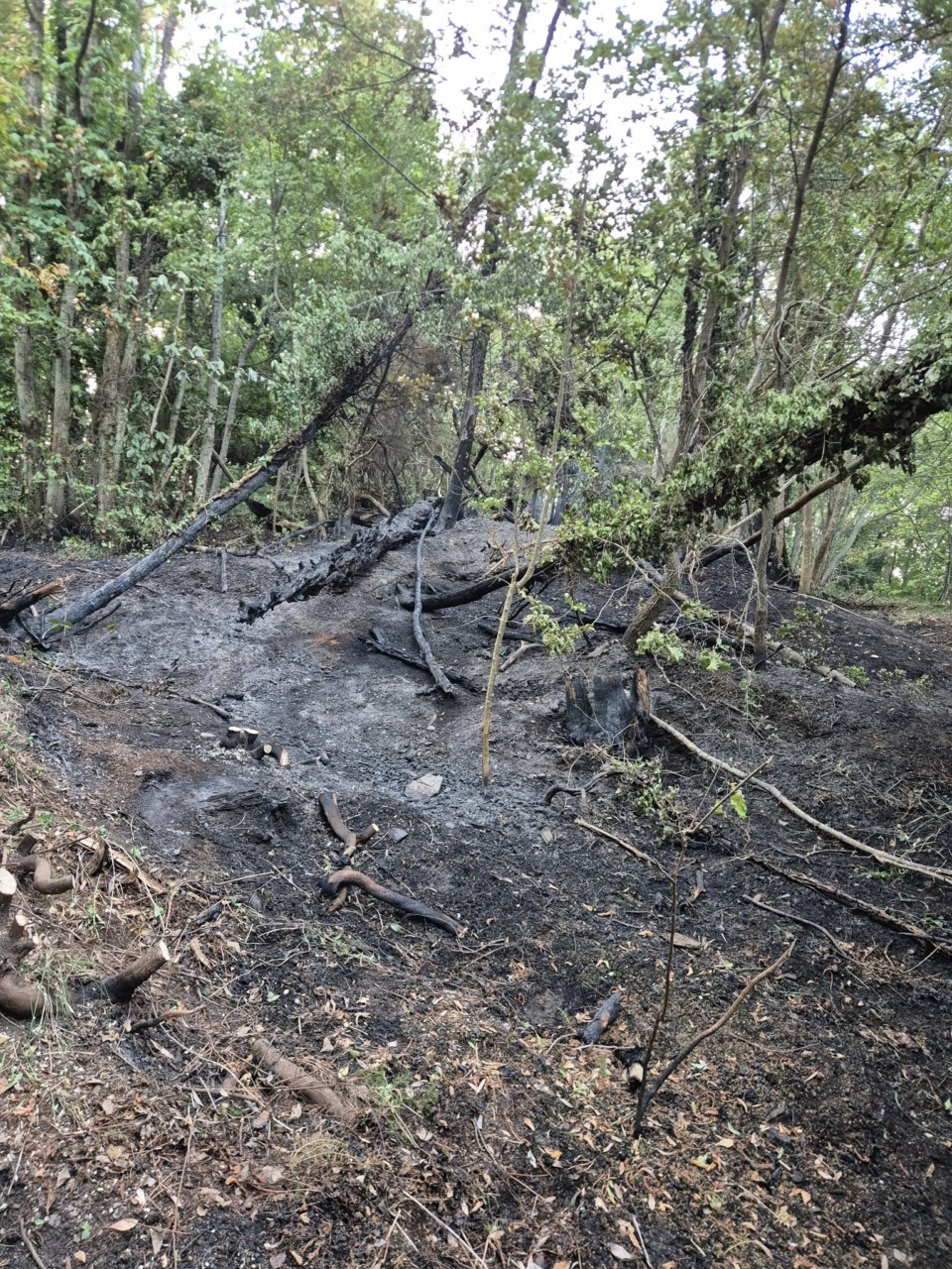 Allarme nella notte a Sorlana per un incendio boschivo