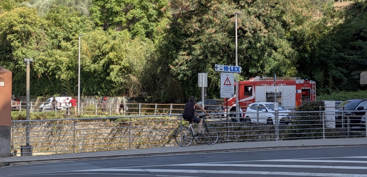 Incendio di sterpaglie a Chiavari: pronto intervento sotto il viadotto