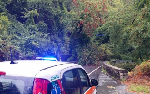 Alberi caduti sull’Aurelia, interruzioni alla viabilità a Casarza Ligure