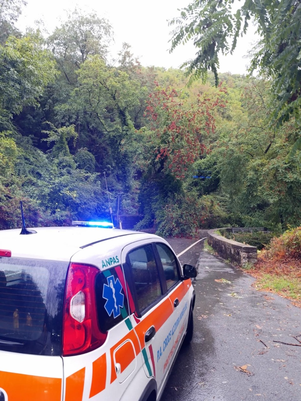 Alberi caduti sull’Aurelia, interruzioni alla viabilità a Casarza Ligure