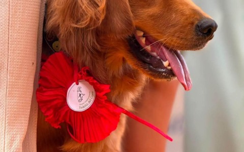 A San Rocco di Camogli, la 65esima edizione del Premio Internazionale Fedeltà del Cane