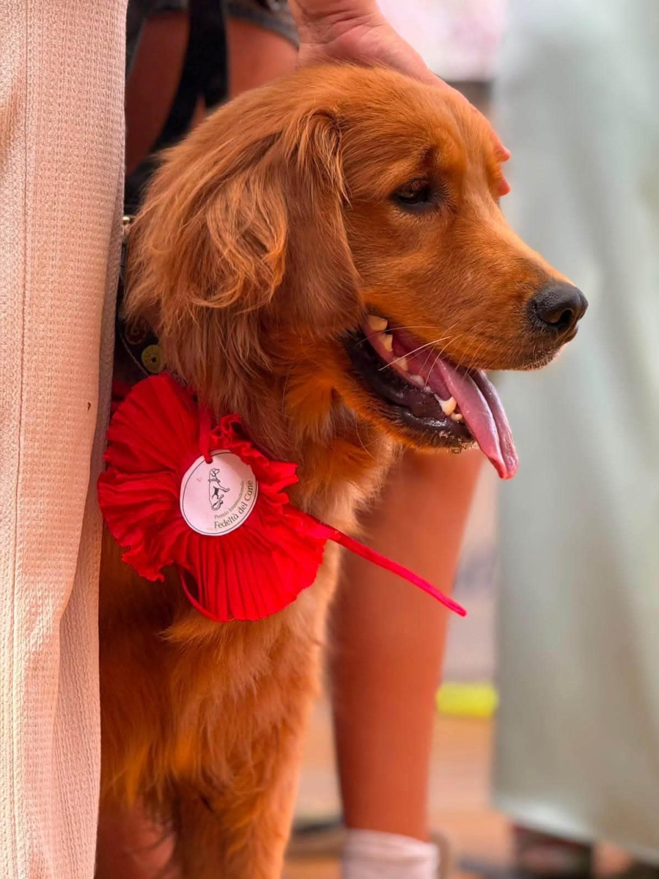 A San Rocco di Camogli, la 65esima edizione del Premio Internazionale Fedeltà del Cane