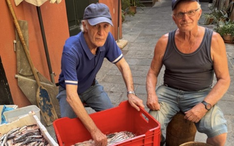 La Cooperativa Pescatori di Camogli riparte dalle acciughe sotto sale