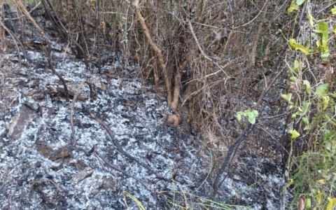 Incendio a Lavagna: fiamme nella zona di Barassi