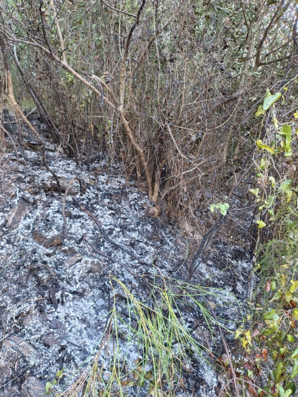 Incendio a Lavagna: fiamme nella zona di Barassi
