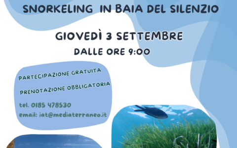 Alla scoperta della Posidonia nella Baia del Silenzio