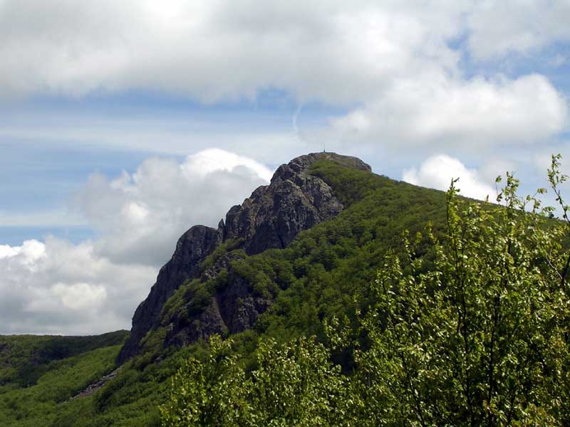 Escursione nella Foresta del Monte Penna sabato 5 settembre