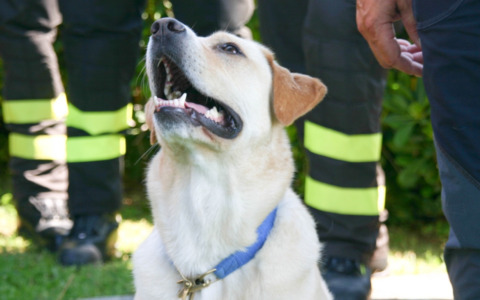 Oggi il Premio Fedeltà a San Rocco di Camogli: le storie