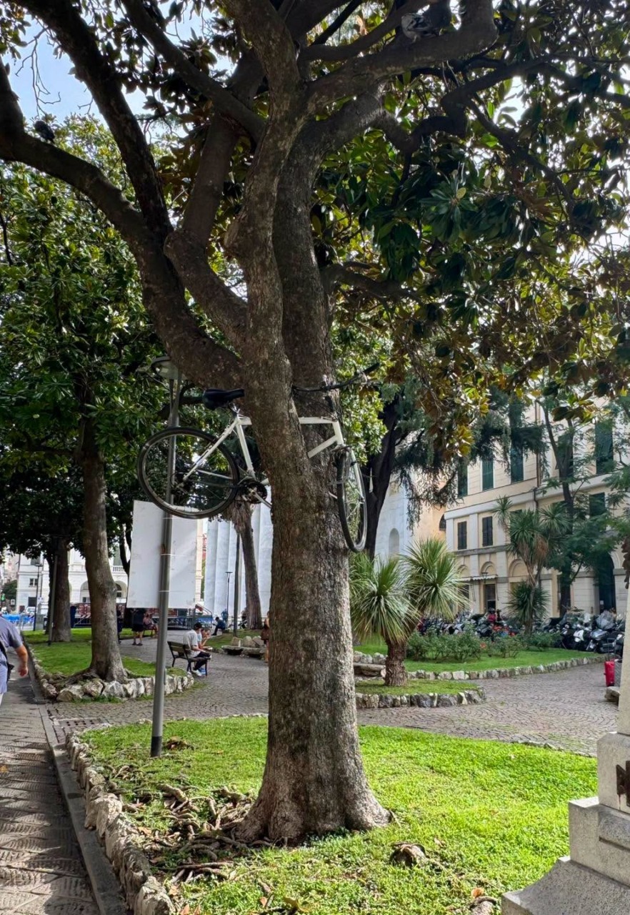 Una bicicletta tra i rami di un albero, Avanti Chiavari ironizza: “Street art non autorizzata”