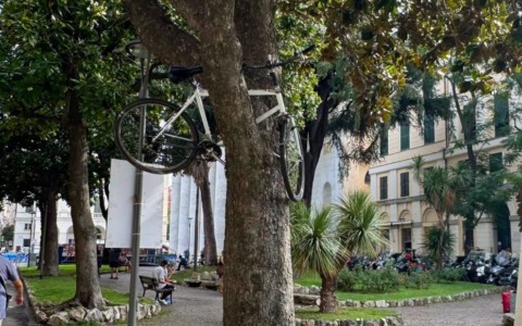 Una bicicletta tra i rami di un albero, Avanti Chiavari ironizza: “Street art non autorizzata”