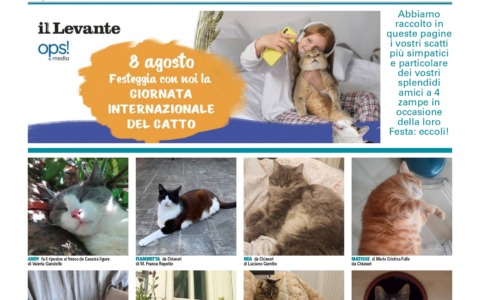 I gatti dei lettori conquistano Il Nuovo Levante: ma le iniziative per gli amici a 4 zampe continuano!