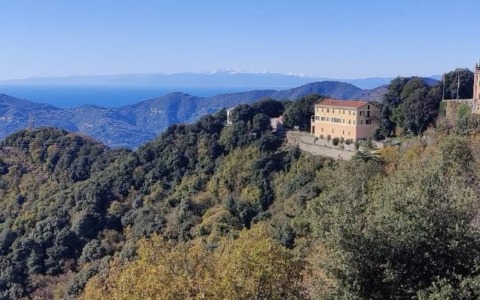 Incendio boschivo sul Monte Castello