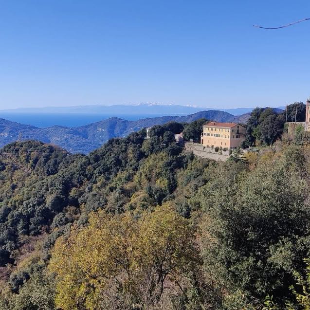 Incendio boschivo sul Monte Castello