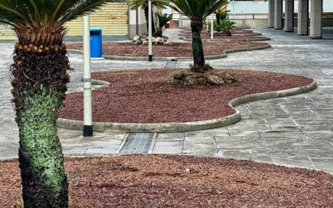 Continua a Lavagna l’intervento di riqualificazione e restauro del verde in piazza La Scafa