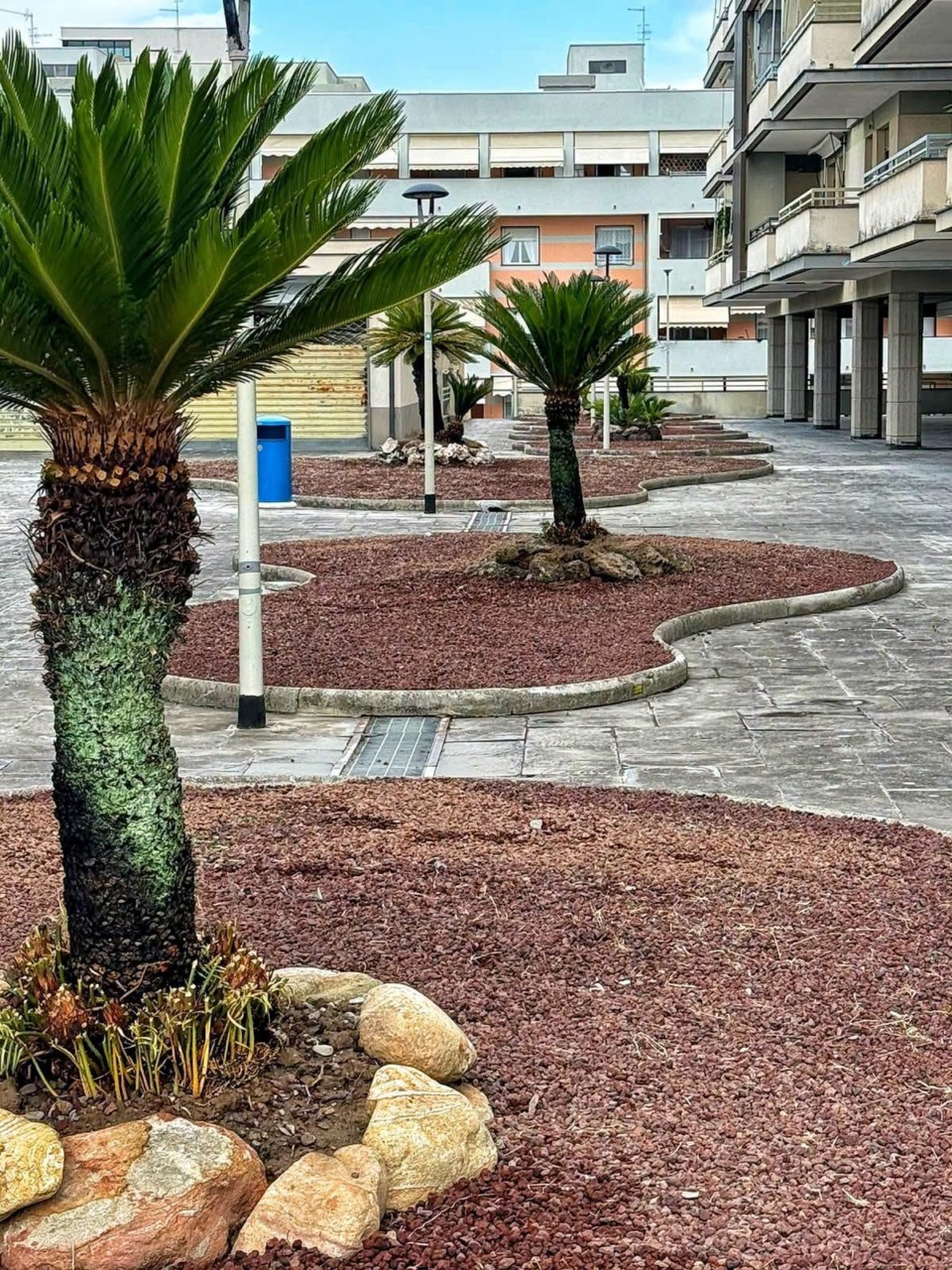 Continua a Lavagna l’intervento di riqualificazione e restauro del verde in piazza La Scafa