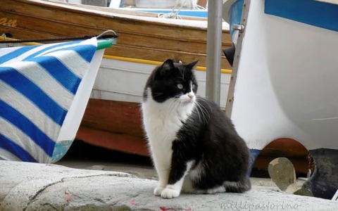 Addio a Titta, “Regina” e mascotte di Portobello a Sestri Levante