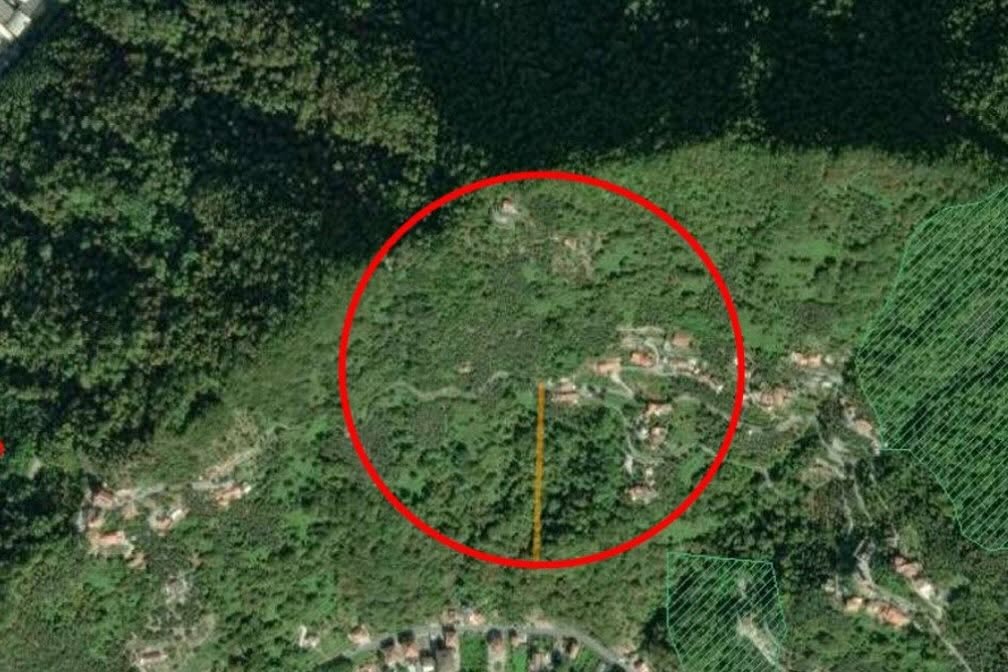 Disinfestazione contro le zanzare: l’intervento in località Bernassa, a Carasco