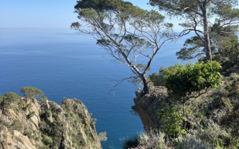 Tre escursioni per scoprire il territorio tra natura, paesaggio e storia a cura di LabTer Tigullio