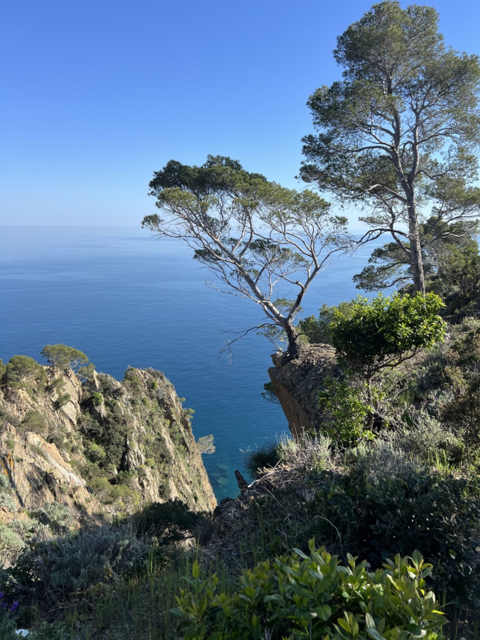 Tre escursioni per scoprire il territorio tra natura, paesaggio e storia a cura di LabTer Tigullio