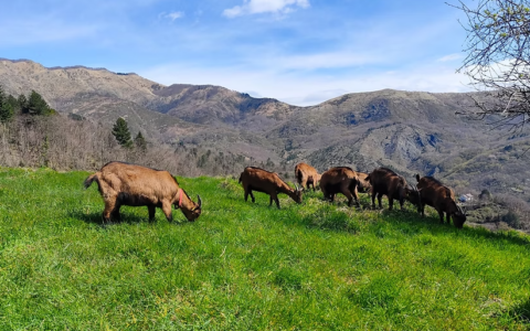 Ne, un fine settimana nel verde alla fattoria didattica