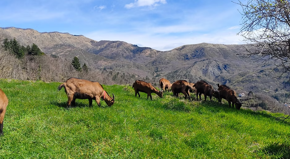 Ne, un fine settimana nel verde alla fattoria didattica