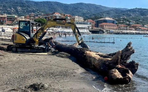 Lavagna, rimosso dalla spiaggia un tronco di pioppo lungo 15 metri