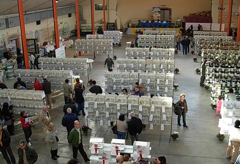 Una mostra divulgativa ornitologica in arrivo a Rapallo