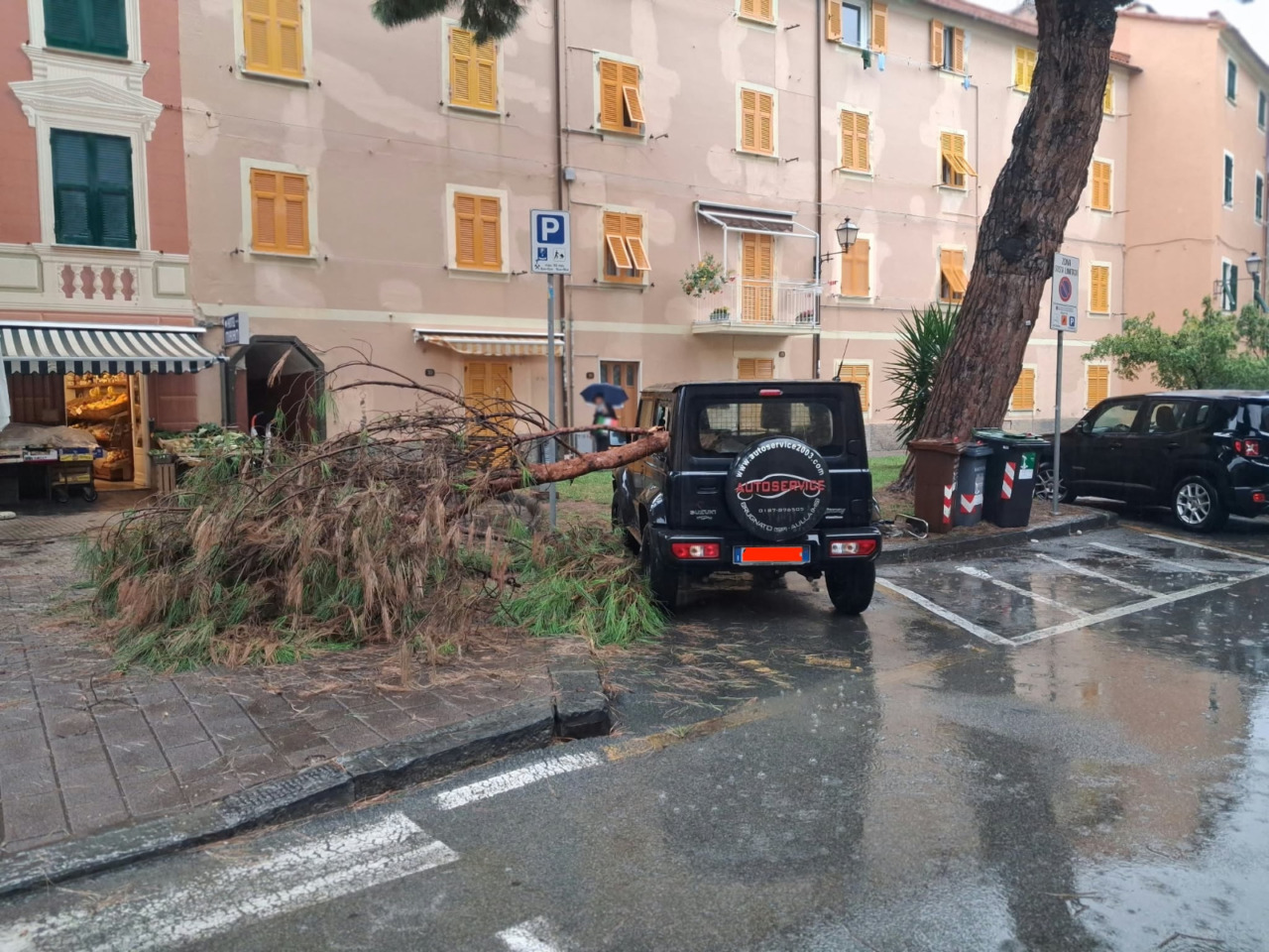 Cade ramo di pino, auto danneggiata