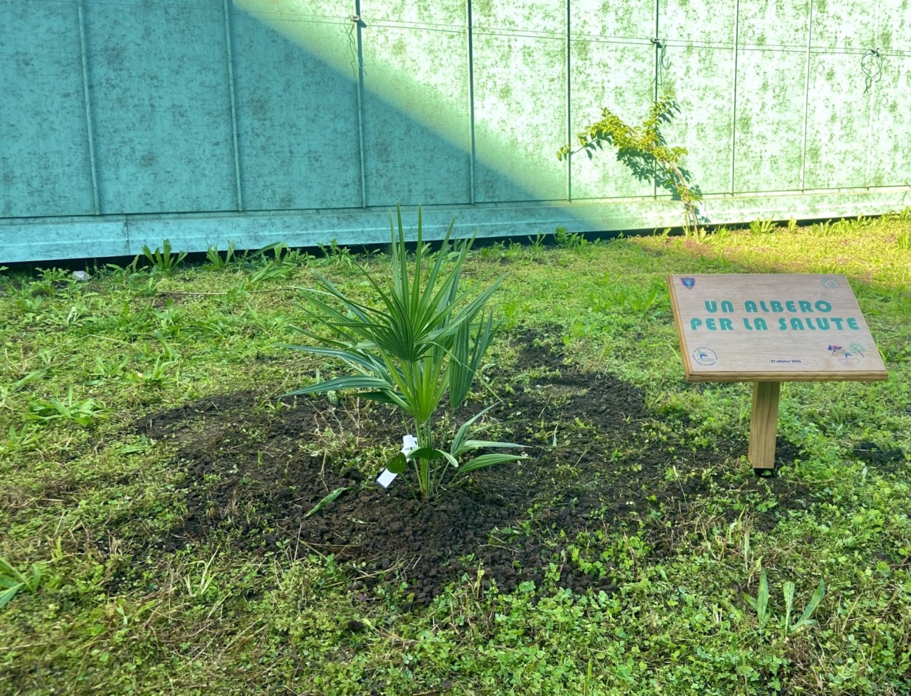 Una palma nana nel giardino dell’ospedale di Rapallo: salute e ambiente crescono insieme