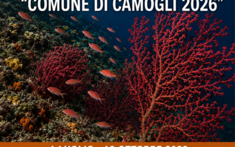Camogli, oltre 400 scatti per il Trofeo di Fotografia Subacquea: le meraviglie del mare in mostra a Castel Dragone
