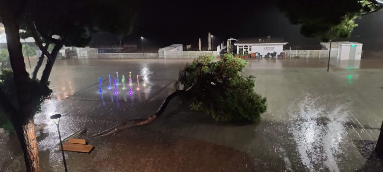 Maltempo sul Levante, cessata l’allerta gialla: alberi caduti e viabilità interrotta