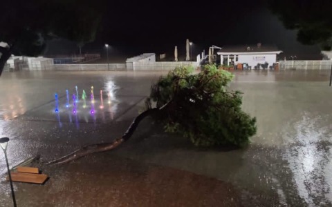 Maltempo sul Levante, cessata l’allerta gialla: alberi caduti e viabilità interrotta
