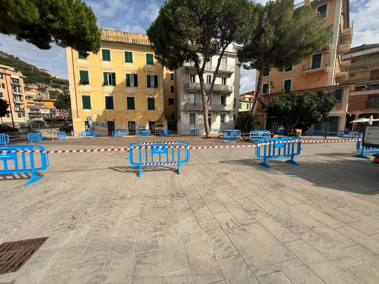 A Recco due pini della passeggiata a mare da abbattere con urgenza